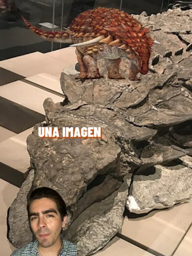 Este es de los mejores dinosaurios conocidos #divulgacioncientifica #paleontologia #dinosaurios #fyp #fosiles