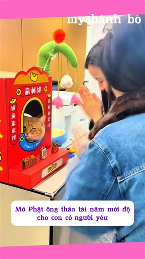 Pray for love with the lucky cat figurine.