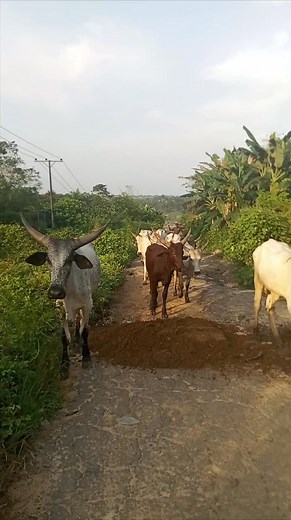 Jackson Timothy on Reels