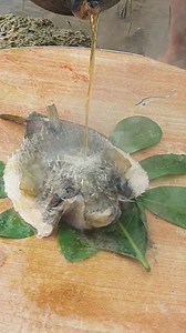 Wow!😲 #porcupine #seafood #fypシ゚ | Bonivie Espinosa Pigon