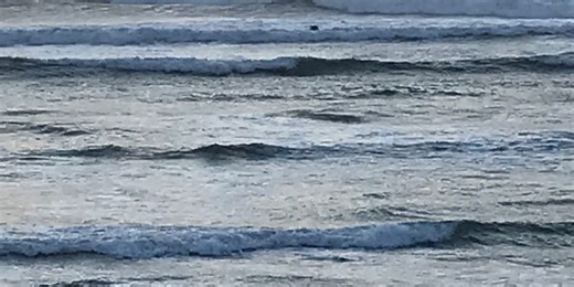 Finding buoyancy in rough going