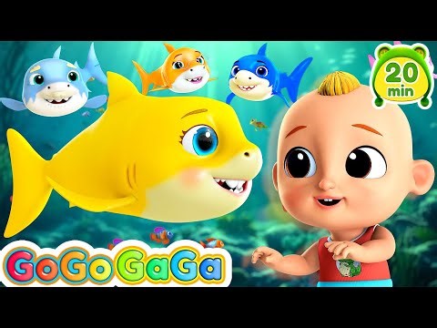 Baby Shark 🦈 + Five Little Ducks & More GogoGaga Nursery Rhymes & Kids Songs