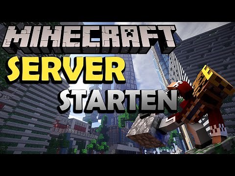 Start a Minecraft server locally for LAN or plugin programming