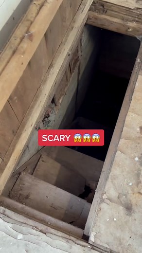 Where Does It Go? Exploring Moe Sargi's Terrifying Journey