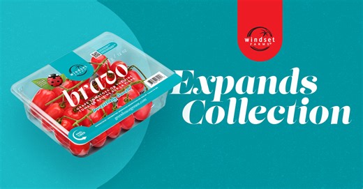 Windset Farms Launches BRAVO Grape Tomatoes in Expanding “On-The-Vine” Collection; Ryan Cherry Comments