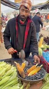 আফগানিস্তান থেকে বাংলাদেশে এসে ভুট্টা বিক্রি করে দেখুন | Hello network