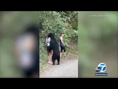 Woman takes selfie as bear sniffs her hair on hiking trail in Mexico