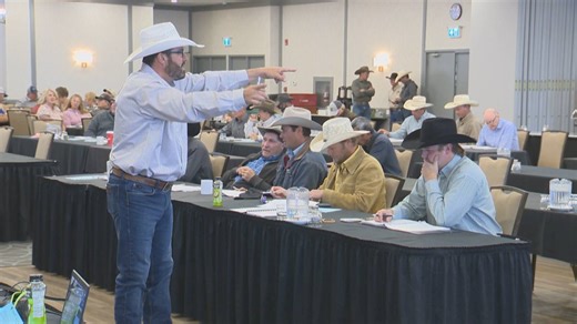 Southern Alberta auction selling 65,000 cattle by video