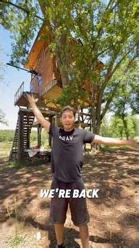 My Treehouse Will Never Be Finished...