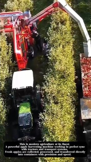 "High-Tech Apple Harvesting Machine in Action | Smart Farming"