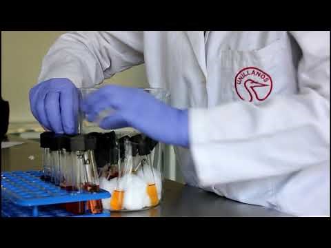 Pruebas Bioquímicas 1/3 Prueba Fermentación de Carbohidratos.