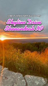 Are you planning a trip to Shenandoah National Park? #fallcolors #shenandoahnationalpark #vacationplanning #travelinspiration #falltravel #FallCamping | Where The Road Wanders