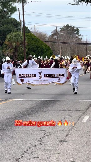 Experience the New Orleans Parade with Color Guards