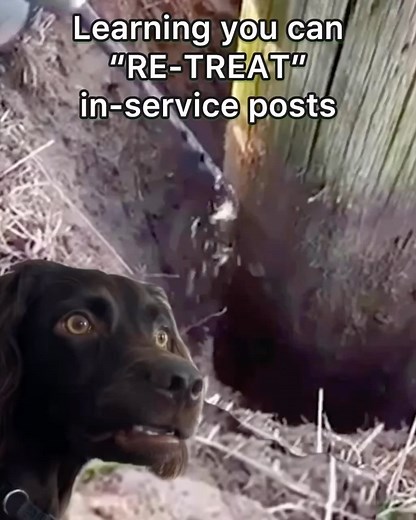 NEW CONSTRUCTION: Post Protector🔥IN-SERVICE POSTS: Post Proservative!💥RE-TREAT fence, deck & barn posts!🤯 “ALL P-T posts WILL lose resistance to DECAY. Decay is a gradual deterioration CAUSED by Soil-Dwelling Fungi & other low forms of plant life” -USDA- SOIL-CONTACT introduces DECAY-FUNGI SEPARATE WOOD from SOIL-CONTACT! It’s THAT simple... & who doesn’t like SIMPLE?! POST PROTECTOR simply eliminates ALL soil-to-wood contact & protects the decay-prone grade line hence, decay fungi/bacteria h