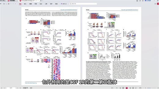 T细胞合成受体：攻克实体瘤新希望