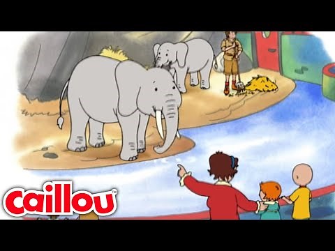 Elephants | Caillou - WildBrain | Learning for Children