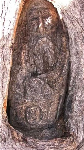 The Famous Dig Tree of Burke & Wills