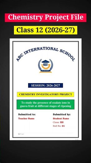 Chemistry Project File Class 12 | Chemistry Investigatory Project Class 12 PDF | 2026