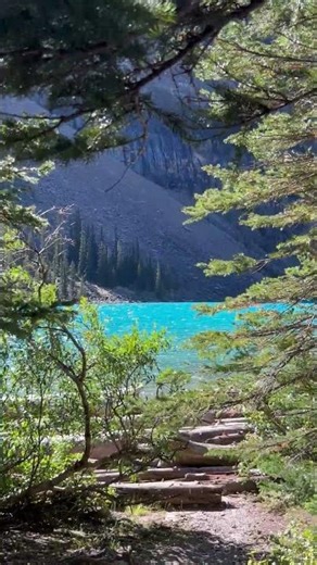 Moraine Lake through the trees #lake #travel #mountains #vanada #banff #nature