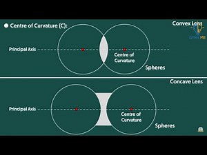 Lenses & Terms Related to Lenses | Part 20 | Ch. 10 | English | Class 10