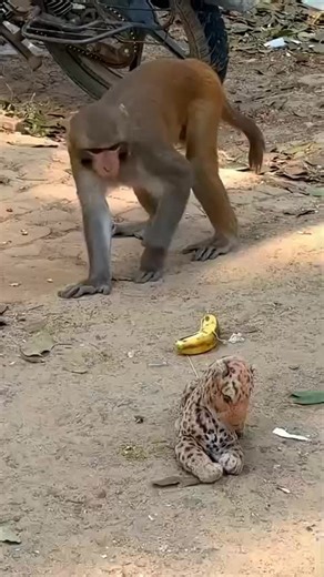 Innovative Trends in AI and Robotics