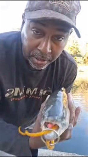 Some tips for big rainbows 🌈!! #fishing #trout #california #tips