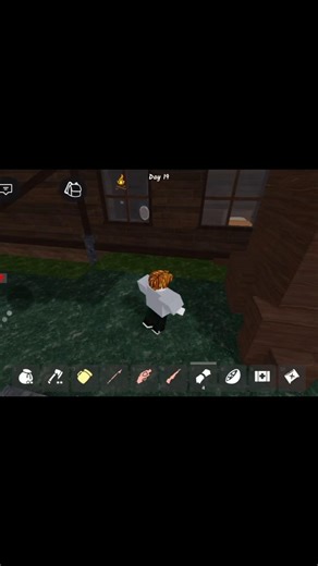 I Opened a Ruby Chest in #99nightintheforest