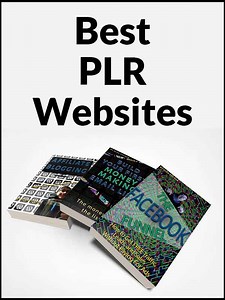 7 Best PLR Websites 2025 - Where to Buy Quality PLR Content