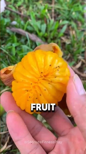 Ranking 6 Fruits by Heart-Healing Power #health #nutrition