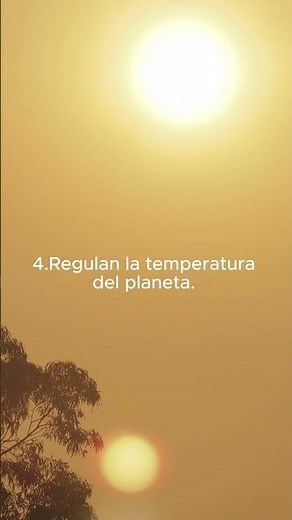 10 razones para cuidar los árboles #viral #arbol