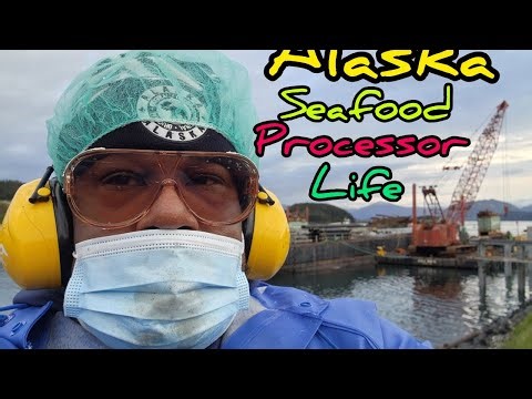 Is it worth it being an Alaska Seafood Processor in 2025