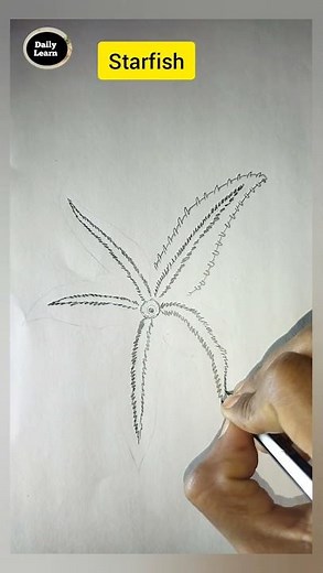 starfish diagram/तारामीन ⭐ #science #biology #short #viralvideo #drawing #zoology #fish #dailylearn