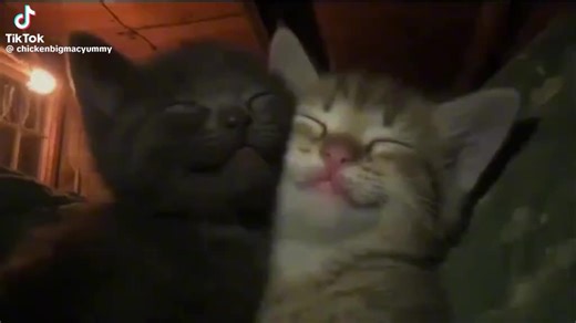 poop mcdinglefart (@marveljeysus)’s videos with original sound - poop mcdinglefart