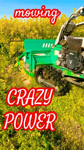 “Insane Brush Cutter in Action! OREC HRC665 Hammer Knife Mower Tames Wild Grass”