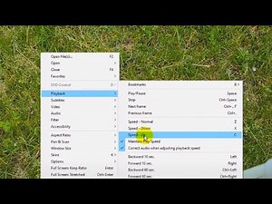 How to play videos at Higher or Lower Speed? (GOM Player, Z,X,C)