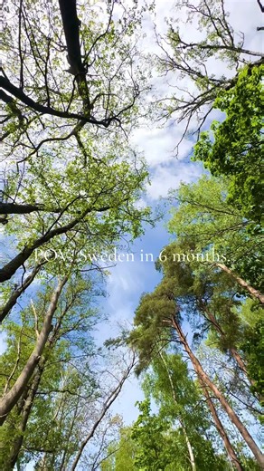 Experience Sweden's Transformation Over 6 Months