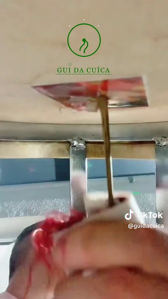 Exploring the Rich Tradition of Samba and Pagode Music with Gui Reis da Cuíca