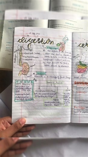 Biology notes for Neet preparation/ Biology notes #shorts #biology notes #bio #neet2026