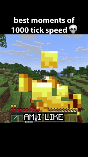 bro played minecraft at 1000 tick speed...