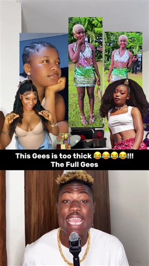 The full gees | geese bird