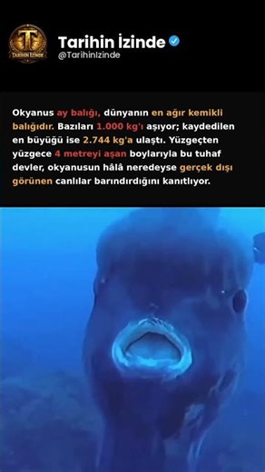 Dünyanın en büyük kemikli balıklarından birisi