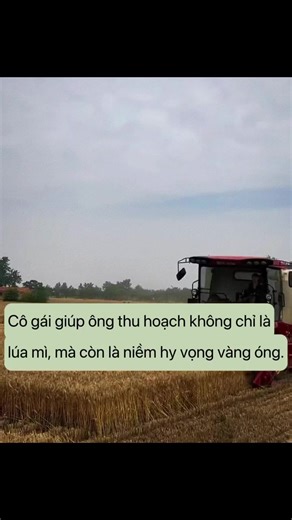 Sống Chậm Lại Để Thấy Những Điều Quý Giá
