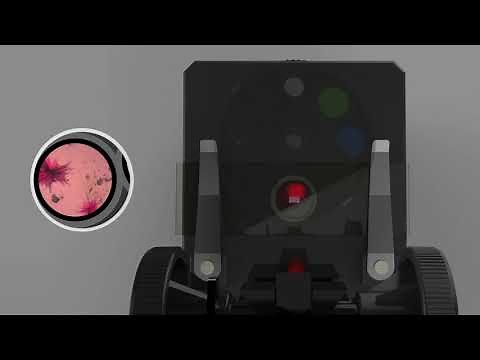 Microscope enfant - JouéClub