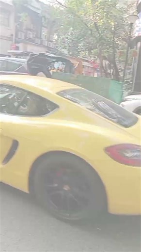 2016# Dhadkan# Hai# Meri# use gane# ka #🚘🚘👏video