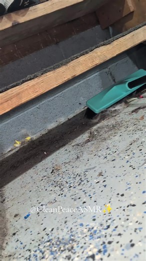 Spring Cleaning: Scrubbing Under the Garage Stairs