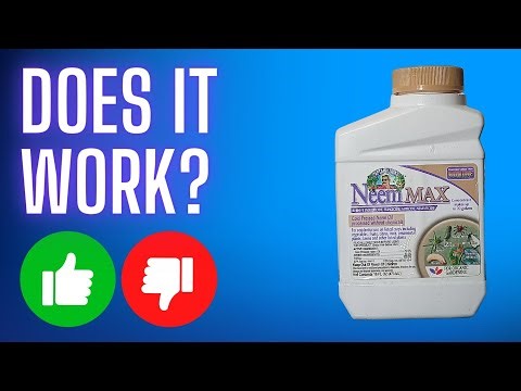 Bonide Captain Jack's Neem Oil REVIEW: What You Need to Know!