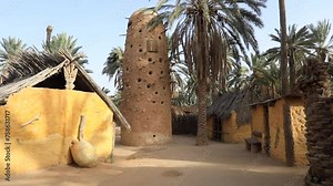 Traditional Saharan mud brick buildings with a unique granary tower among palm trees