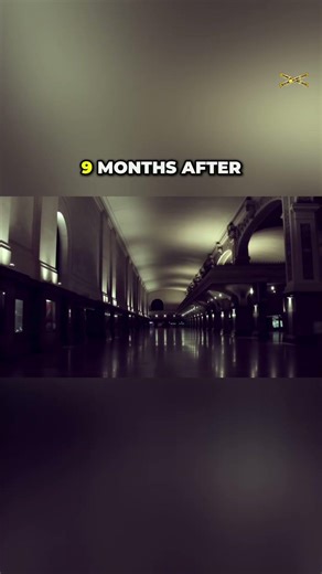 Night's Silent Abduction