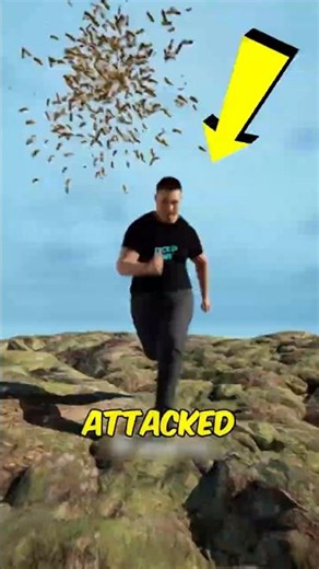 Swarmed by Bees NEVER Jump Into Water! 🐝 The Survival Trick That Could Save Your Life