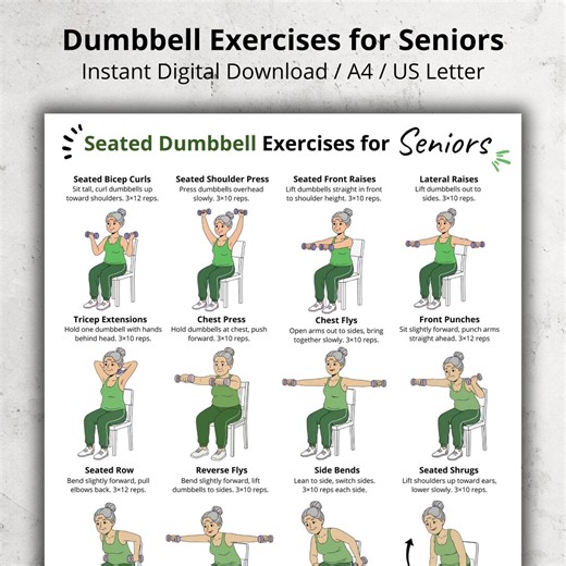 Seated Dumbbell Exercises for Seniors | Chair Workout Chart for Older Adults | Low Impact Dumbbell Routine PDF | Home Exercise Printable - Etsy Canada